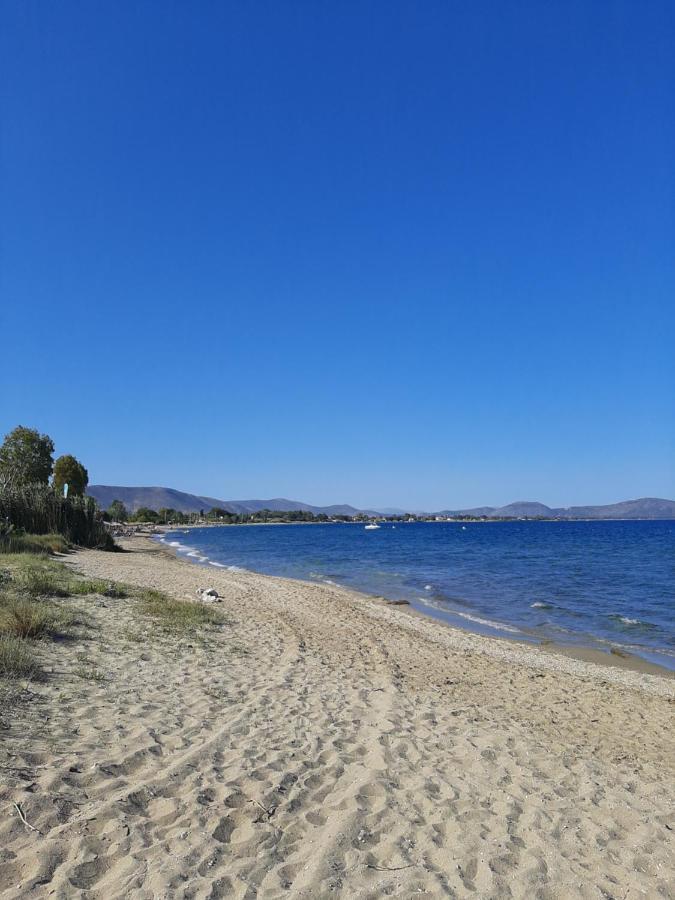 Cozy Flat In Nea Makri Leilighet Eksteriør bilde