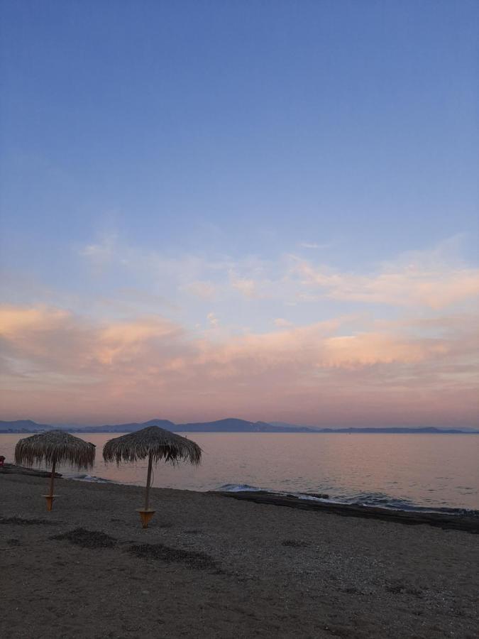 Cozy Flat In Nea Makri Leilighet Eksteriør bilde